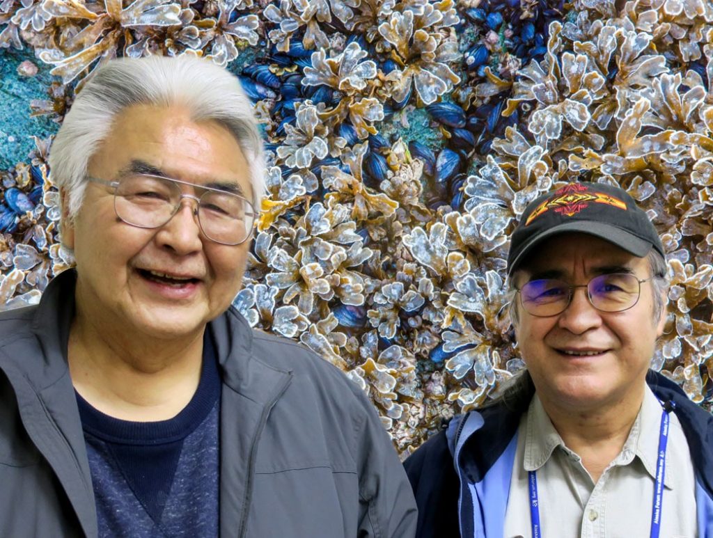 Orville and Justin, two older men with glasses, smile in front of kelp and clam beds.